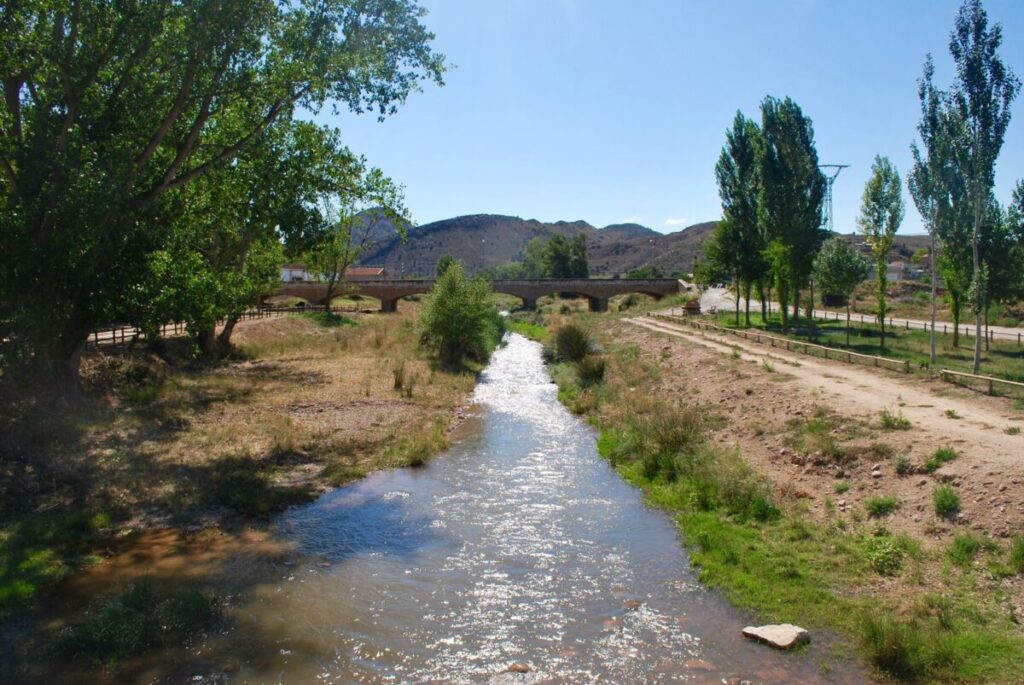 Imagen del río Martín, al aguas del embalse
