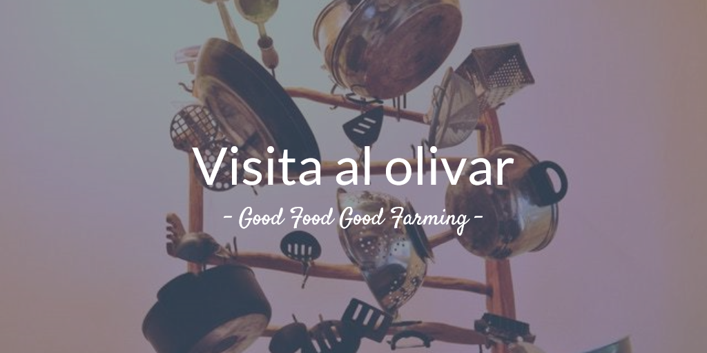 6ª visita al olivar 2018. 'Buena Alimentación Buena Agricultura'