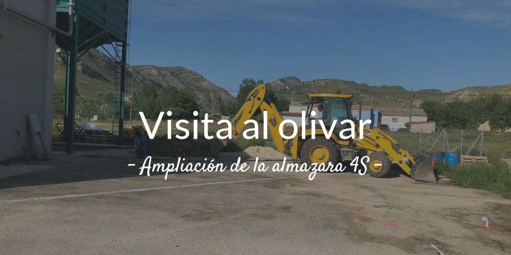 3ª Visita al olivar 2019. Ampliación de la almazara