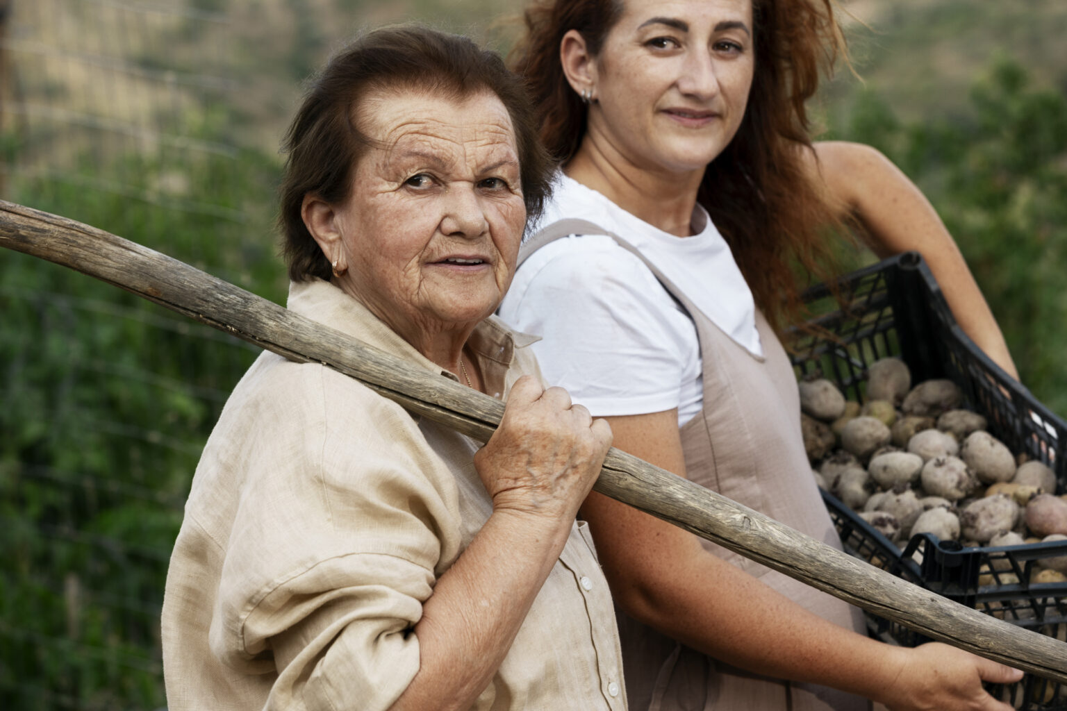 Proyecto 'Del bosque a tu Casa'