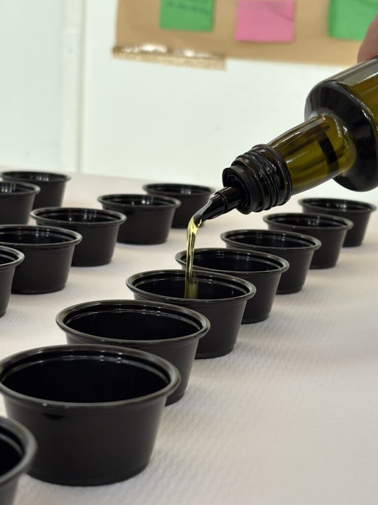 Aceite de Oliva Virgen Extra de MiOlivo.org./ A.M.