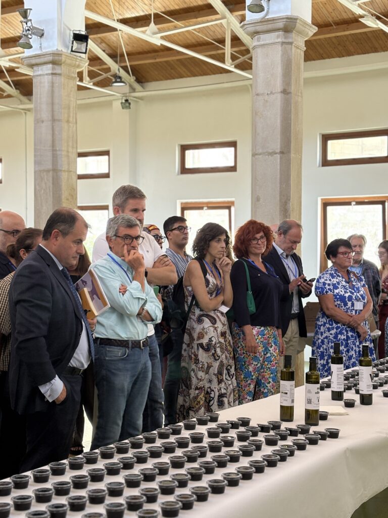 Cata de aceite de oliva durante el VII Curso de Periodismo de Alcañiz./ A.M.