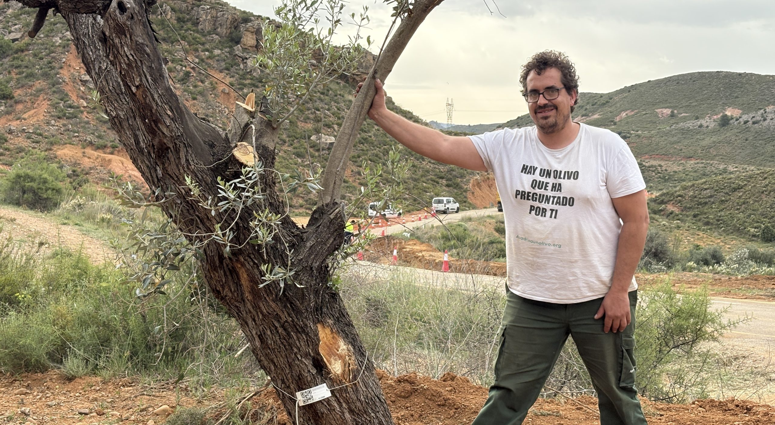 David Gracia, gestor de campo de Apadrinaunolivo.org, junto a uno de los olivos trasladados por las obras de la carretera entre Oliete y Alloza (Teruel)
